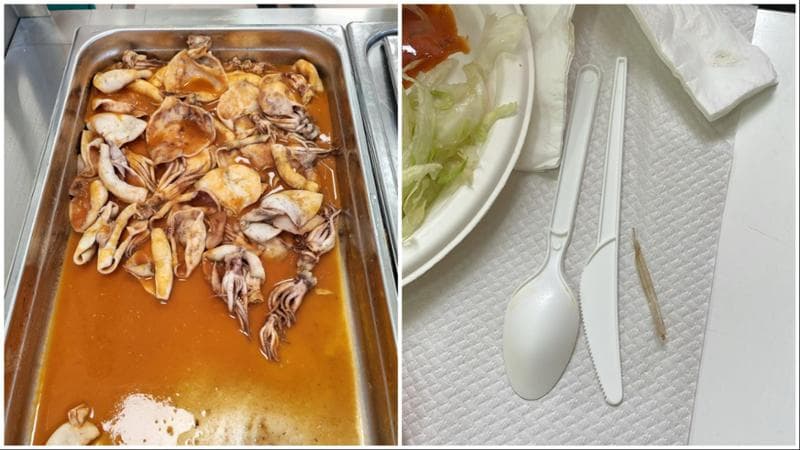 Calamari interi con cartilagini ai bimbi della mensa, polemica a Brindisi: “Che spreco” - Bari