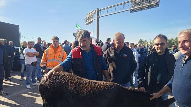 Immagine del post 26158 - Bari Caro carburante, al casello dell’A14 protestano insieme camionisti e agricoltori: “Andiamo a Roma” - Bari
