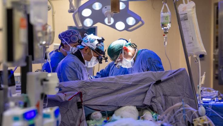 Immagine del post 15061 - Bari Ragazza ucraina a Bari con scoliosi gravissima: intervento al Policlinico la fa tornare a camminare - Bari