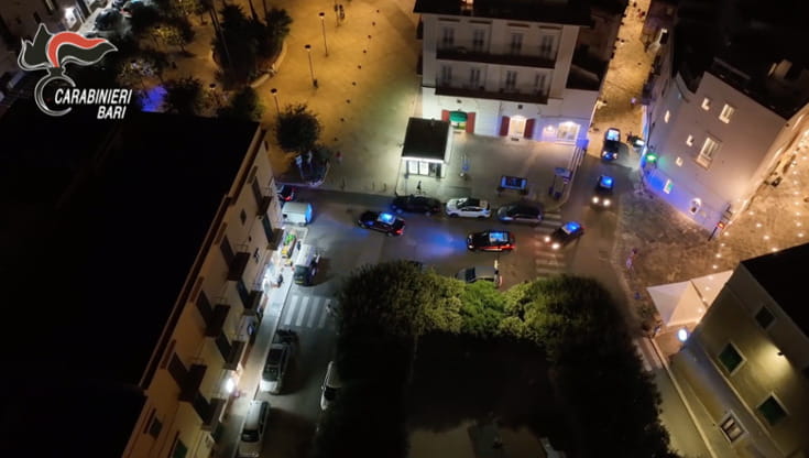 “Quei pagliacci mi hanno ucciso il gatto”: la donna forte del clan Capriati rischia nuovo processo - Bari