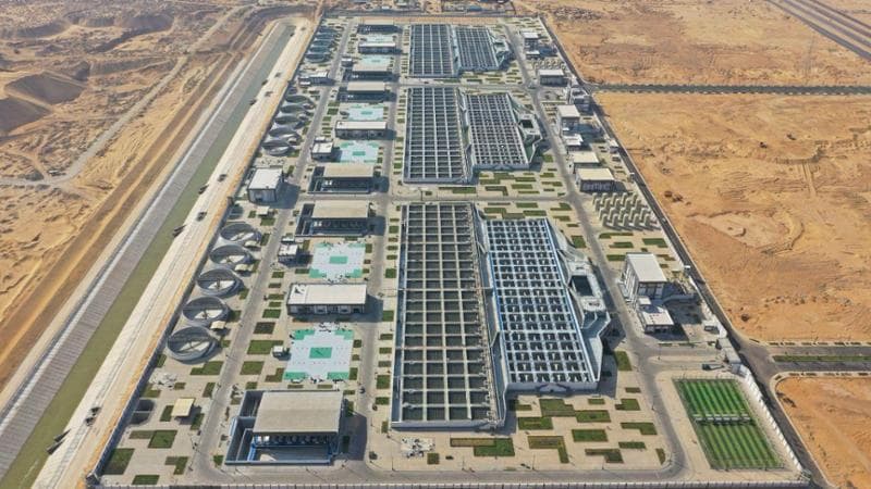 Foraggio sostenibile con Sidro: Sereco punta sull’ambiente e a crescere in Arabia Saudita - Bari