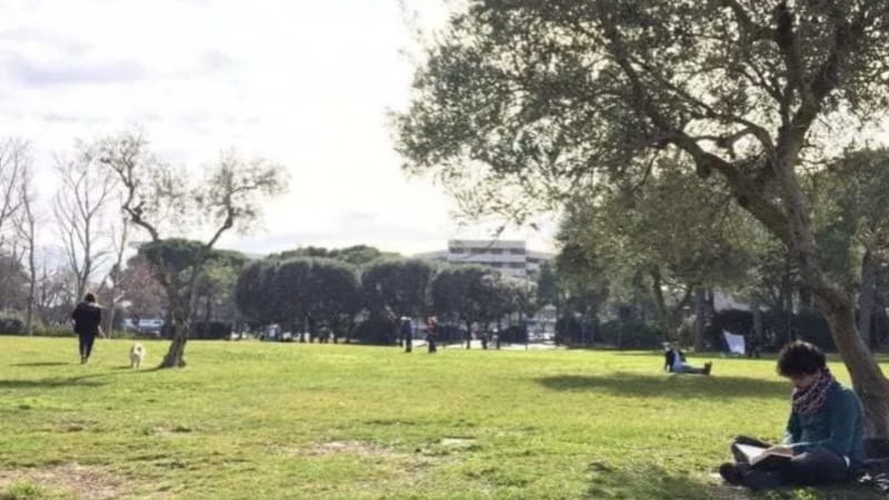 Meteo, Pasqua e Pasquetta senza pioggia e vento in Puglia: torna la primavera per le gite fuori - Bari