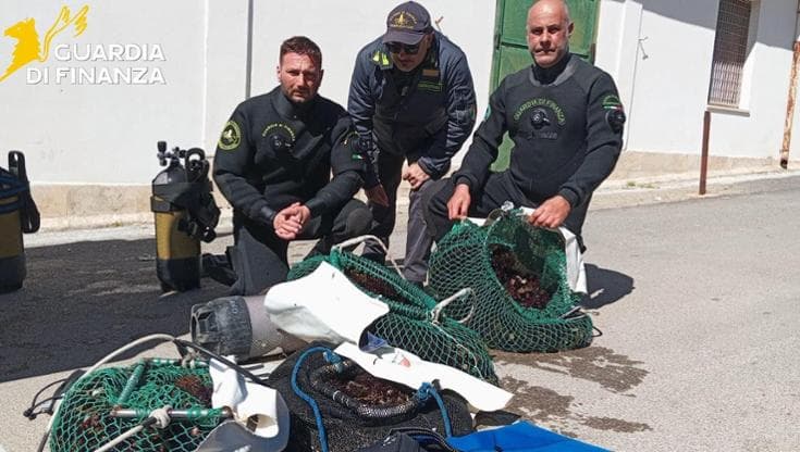 Immagine del post 6109 - Bari Pesce e frutti di mare non tracciabili, sequestro da due tonnellate. Multe per oltre 250mila euro - Bari
