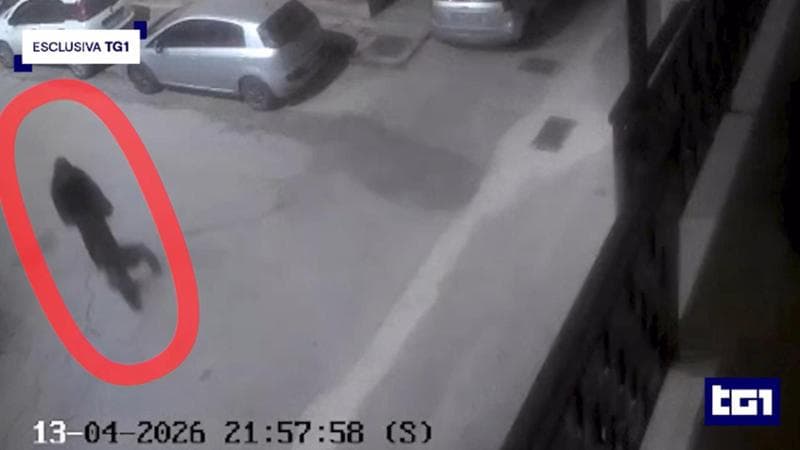 Immagine del post 19489 - Bari Personal trainer ucciso a Foggia, l’ipotesi della vendetta: un ragazzo morì cadendo dal suo palazzo - Bari