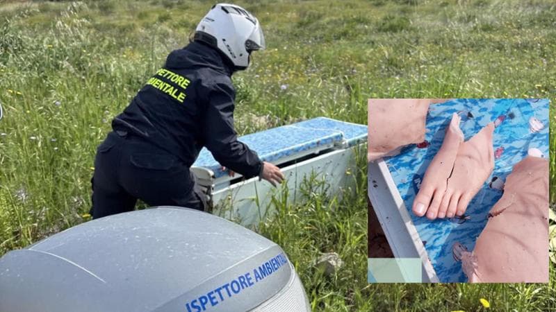 Immagine del post 19518 - Bari In un frigo abbandonato volontari trovano una bambola in silicone fatta a pezzi: “Macabro” - Bari