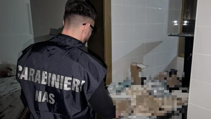 Taranto, sequestrate 12.500 confezioni di cibo per cani: “Etichette con informazioni irregolari” - Bari
