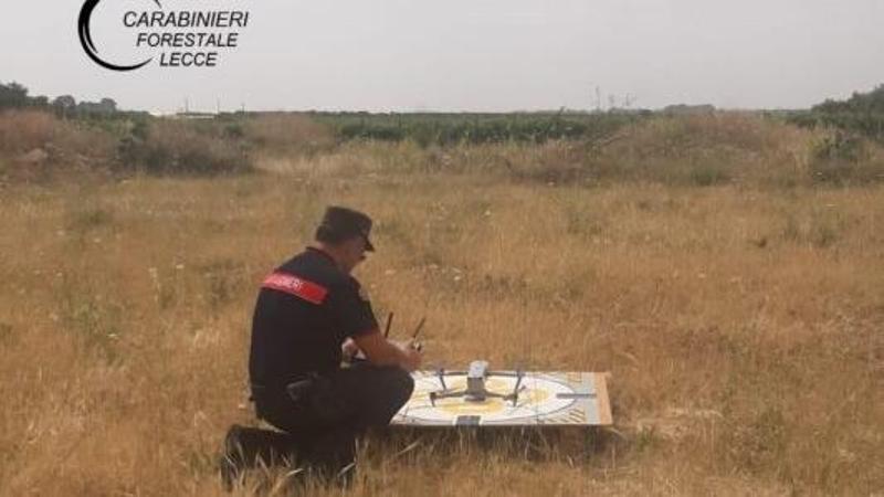 Emergenza incendi, nel Salento arriva il drone: raggiunge i 4mila metri e resiste a 50 gradi - Bari