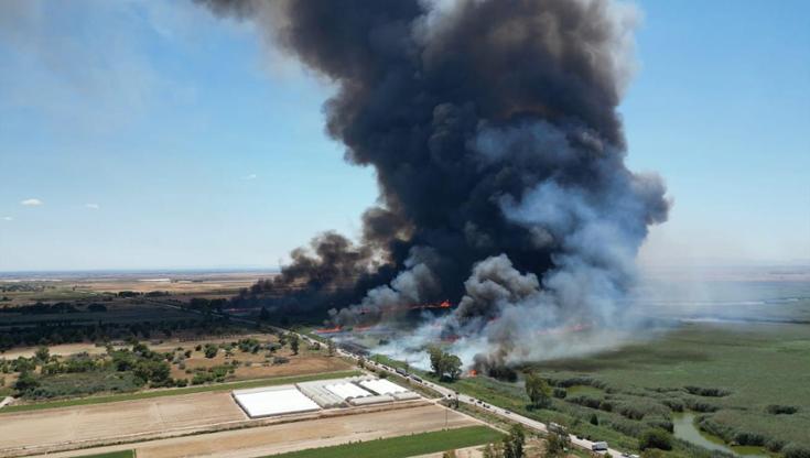 Incendio a Manfredonia, brucia l’oasi di Lago Salso: provinciale chiusa per il fumo. “Un inferno” - Bari