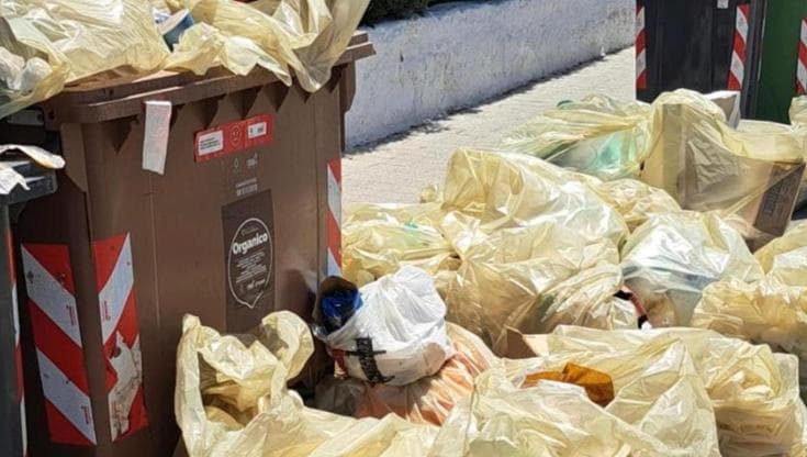 Immagine del post 24007 - Bari Rifiuti, la crociata continua: 18 multe per abbandoni e conferimenti fuori orario: “Serve più cura” - Bari
