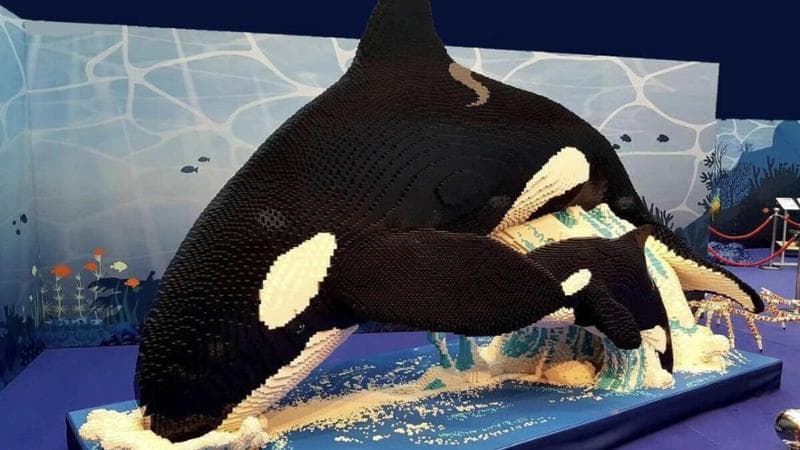 Immagine del post 13976 - Bari Per la prima volta a Bari arriva BrickArt Ocean, 30 opere in Lego a grandezza naturale: “Un sogno” - Bari