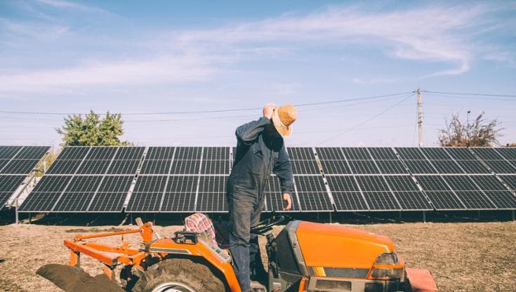 I latifondisti dell’energia verde: “Fanno incetta di permessi per venderli al miglior offerente” - Bari