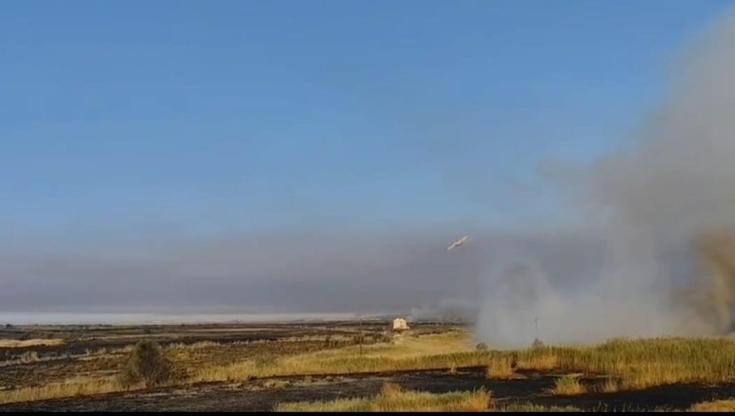 Immagine del post 9805 - Bari Rogo al Lago Salso, in fiamme area protetta. Villaggi in sicurezza, spiagge chiuse per un altro rogo - Bari