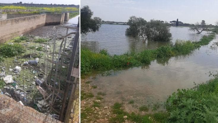 Immagine del post 18518 - Bari Il torrente Asso allaga le campagne in Salento: coltivazioni distrutte e famiglie bloccate - Bari