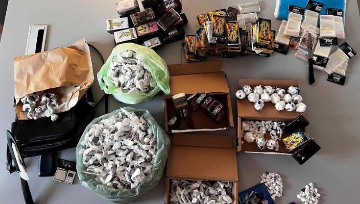 Nascondevano 13 chili droga in casa e nel giardino del condominio: arrestate madre e figlia a Bari - Bari