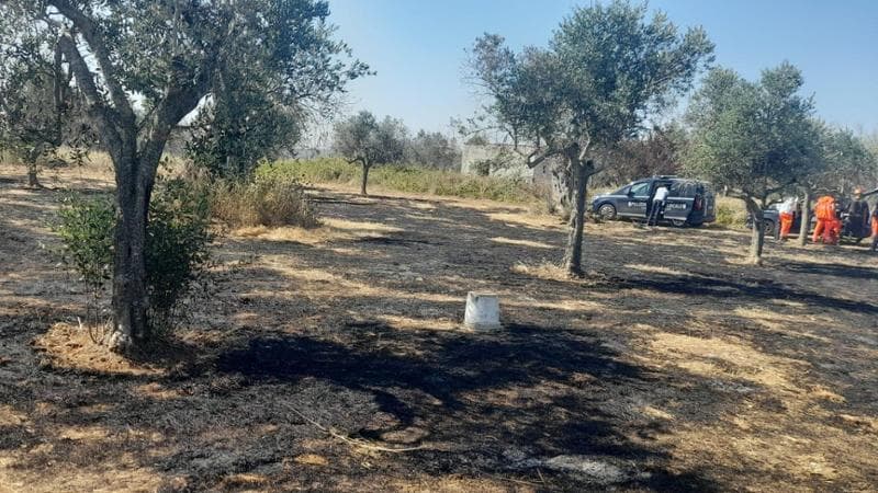 Immagine del post 21907 - Bari Salento, anziano arso vivo: aveva accesso il fuoco per bruciare le sterpaglie. Ustionato l’amico - Bari