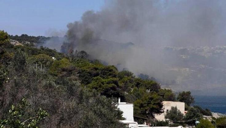 Immagine del post 9845 - Bari La Puglia brucia. Coldiretti: “Colpa dell’uomo” - Bari