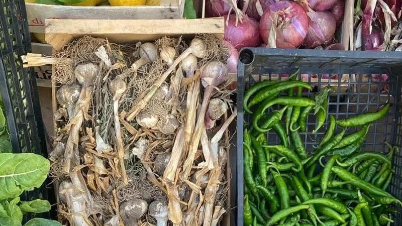 Dalle mense a chilometro zero ai mercatini: a Melpignano il Comune si fa garante del diritto al cibo - Bari