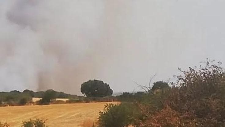 Immagine del post 23085 - Bari Vasto incendio divampa sulla Murgia di Altamura, in azione Canadair e centinaia di vigili del fuoco - Bari