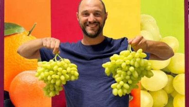 “La nostra uva è rimasta appesa alla pianta: con il blocco dei tir un anno di lavoro in bilico” - Bari