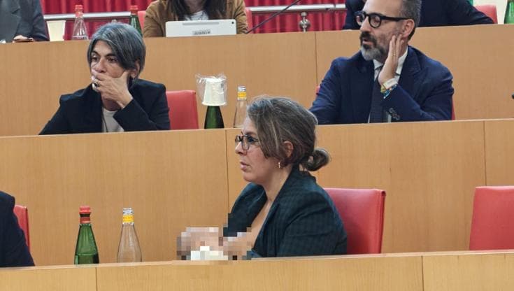 In Puglia l’assessora Leuzzi allatta il piccolo Enea durante la seduta del consiglio regionale - Bari