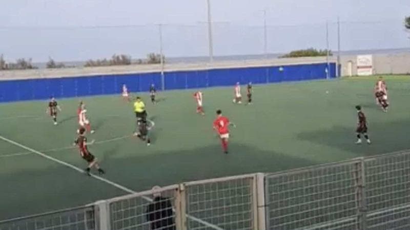 Immagine del post 14127 - Bari Calcio, un pareggio dopo 53 sconfitte consecutive: il curioso record della Molfetta Sportiva - Bari