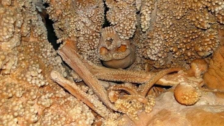 Immagine del post 14103 - Bari “L’Uomo di Altamura? Aveva il naso freddo”: lo scheletro rivela come respiravano i Neanderthal - Bari