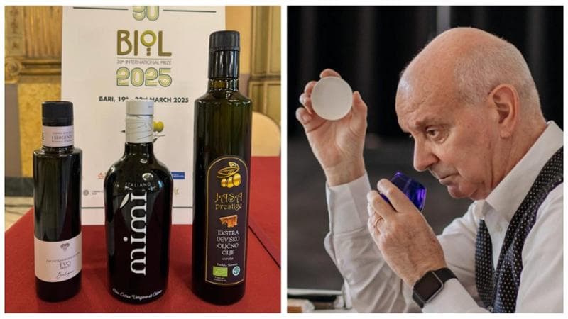 Immagine del post 4429 - Bari Premio Biol, il miglior olio Evo biologico è toscano. Secondo il pugliese Mimì (primo nel 2024) - Bari