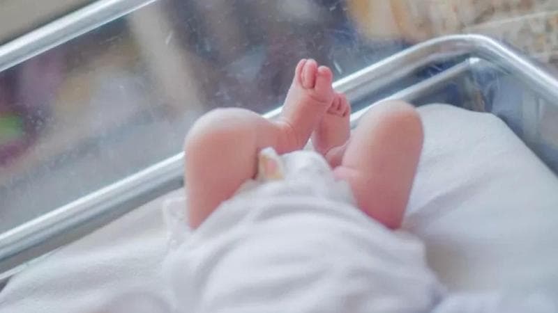 Immagine del post 4435 - Bari Lo screening sul genoma dei neonati dal 1° aprile è gratuito per tutti. “Puglia prima al mondo” - Bari