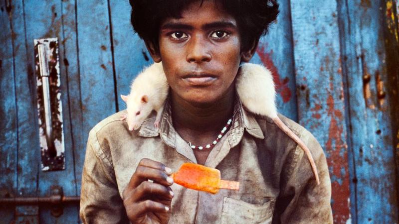 Immagine del post 7512 - Bari McCurry a Vieste: il viaggio nel mondo è attorno al cibo - Bari