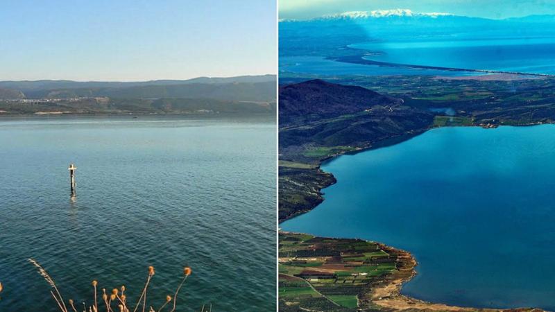 Allarme acque inquinate nei laghi di Lesina e Varano. Legambiente: “Criticità mai verificate prima” - Bari