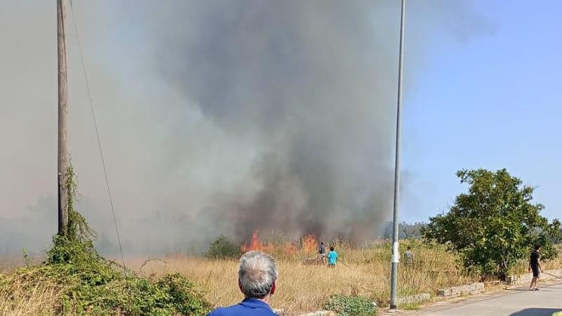 Immagine del post 9916 - Bari Rogo uccide decine di animali nel Salento, una taglia di 1.000 euro sul piromane - Bari