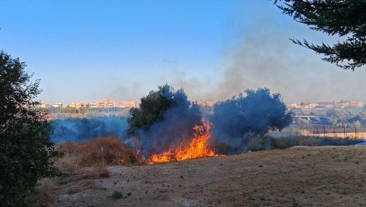 Bari, incendio nella lama tra Santa Rita e Carbonara: caos tra i residenti - Bari