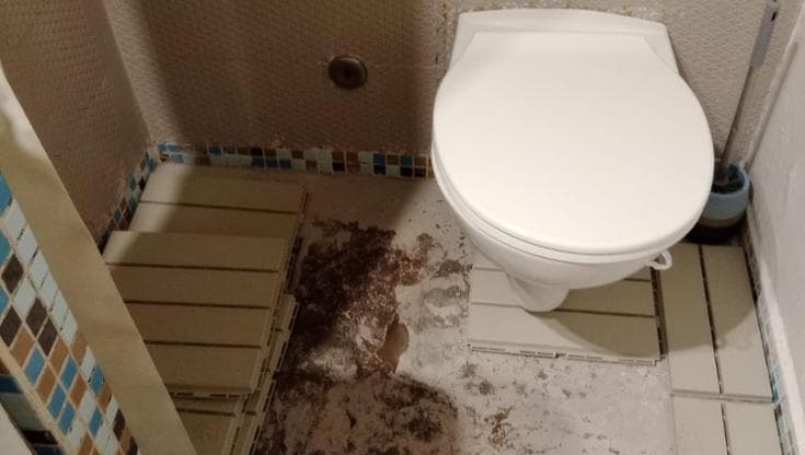 Immagine del post 24148 - Bari Water nel box doccia e umidità, a Bari vecchia chiuso b&b abusivo: multato il gestore - Bari