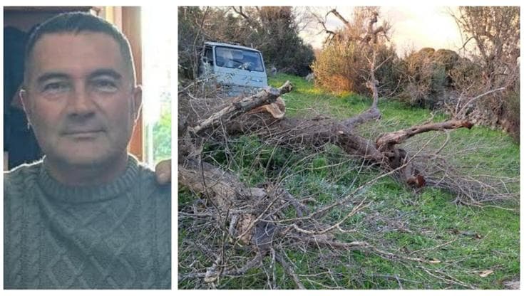 Travolto da grosso tronco mentre lavora nella sua campagna a Ugento: Walter Basile muore a 53 anni - Bari