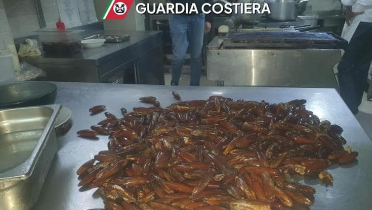 Immagine del post 18587 - Bari Bari, datteri e ricci non tracciati serviti in un ristorante: denunciati ristoratore e due clienti - Bari