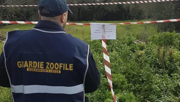 Stavano macellando clandestinamente una capra smarrita da un allevamento: coniugi denunciati - Bari