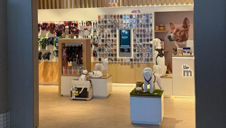 Immagine del post 21983 - Bari Bari, nell’aeroporto apre il primo negozio di animali: souvenirs speciali anche per i cani - Bari