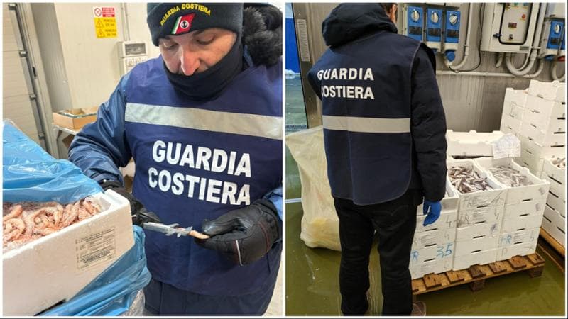 Immagine del post 15295 - Bari Sei tonnellate di pesce per le tavole di Natale sequestrate in Puglia: prodotti non tracciati - Bari