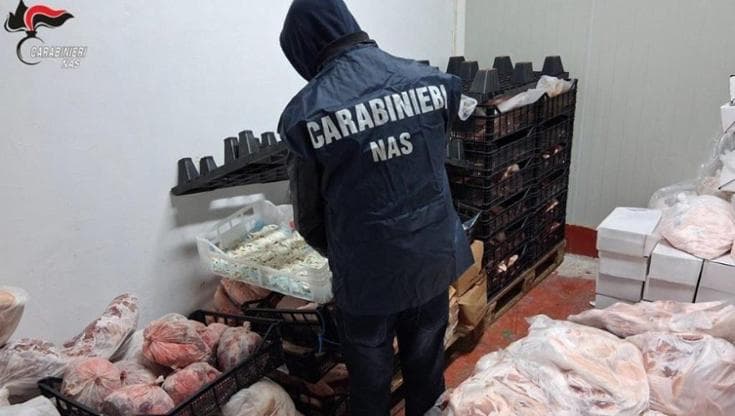Lecce, sequestrati 22 quintali di carne non tracciata: pronta alla vendita. Nuovo caso in 10 giorni - Bari