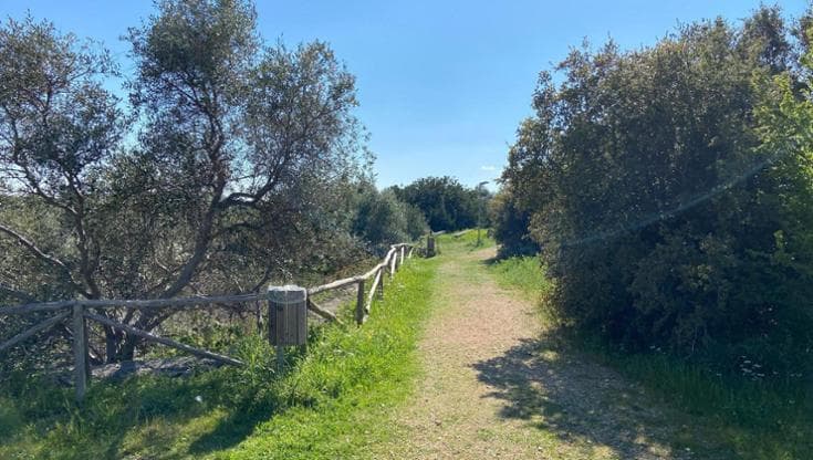 “Vogliamo un parco delle Lame”: nasce l’associazione per tutelare i fiumi estinti del Barese - Bari