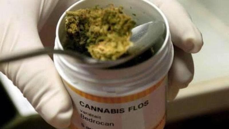 Immagine del post 2599 - Bari Madre e figlio vendevano droga online, denunciati: sequestrati oltre 600 chili di marijuana - Bari