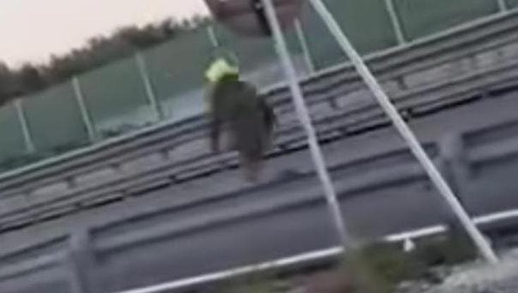 Immagine del post 17571 - Bari Palese, identificato l’uomo che terrorizza passanti e automobilisti: avrebbe dovuto essere espulso - Bari