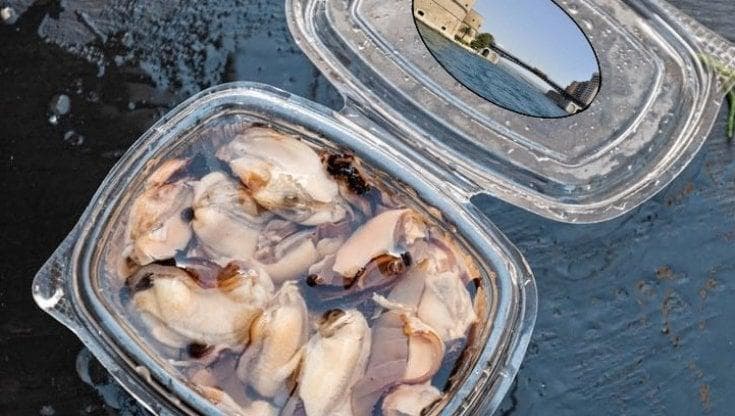 Immagine del post 18616 - Bari Lopalco: “Cozze crude? Possiamo mangiarle, in Puglia tutti immunizzati tra vaccini e vecchi contagi” - Bari