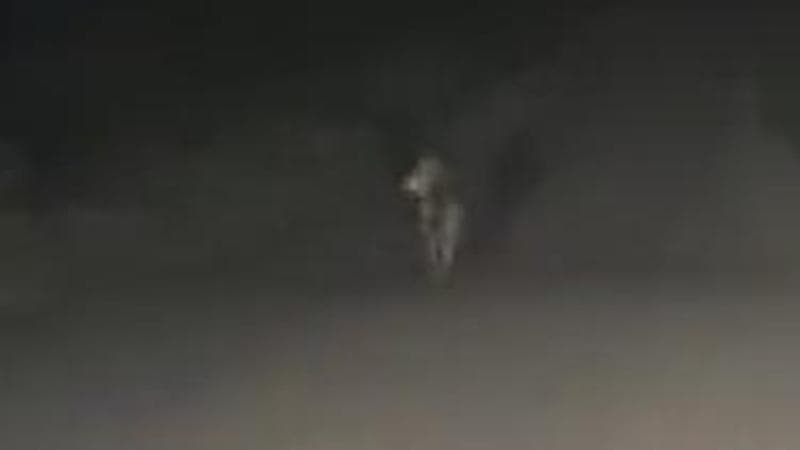 Immagine del post 6401 - Bari Un lupo passeggia alla periferia di Lecce, il video virale. “La Natura si riprende il suo spazio” - Bari