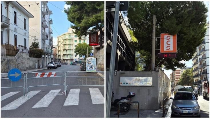 Immagine del post 13073 - Bari Palo pericolante, chiuso un tratto di via Re David. “È a contatto con i vecchi cavi dei filobus” - Bari
