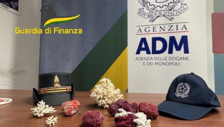 Immagine del post 4586 - Bari Coralli protetti in valigia, all’aeroporto di Bari tre turisti multati per 15 mila euro - Bari