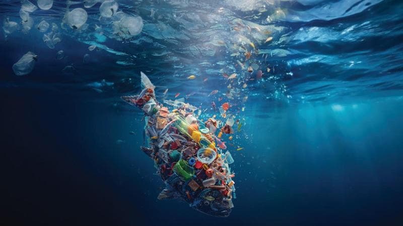 Immagine del post 4624 - Bari Da rifiuti di plastica a risorse per filiera cemento: Politecnico di Bari capofila progetto europeo - Bari