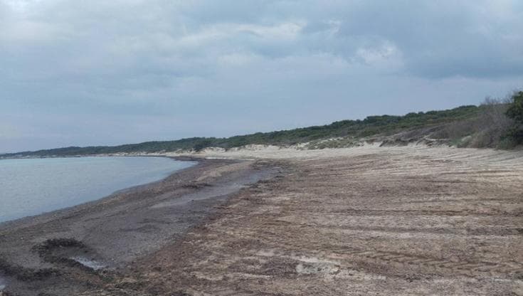 Immagine del post 18684 - Bari Salento, sabbia spostata dalla spiaggia libera al lido dei parlamentari della Lega: “Da chiarire” - Bari