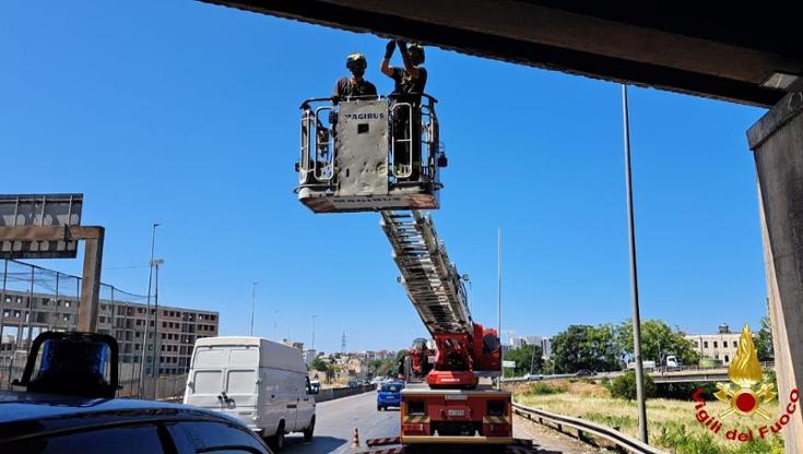 Immagine del post 8920 - Bari Calcinacci giù dal ponte sulla statale 100 allo svincolo per la tangenziale: traffico in tilt - Bari