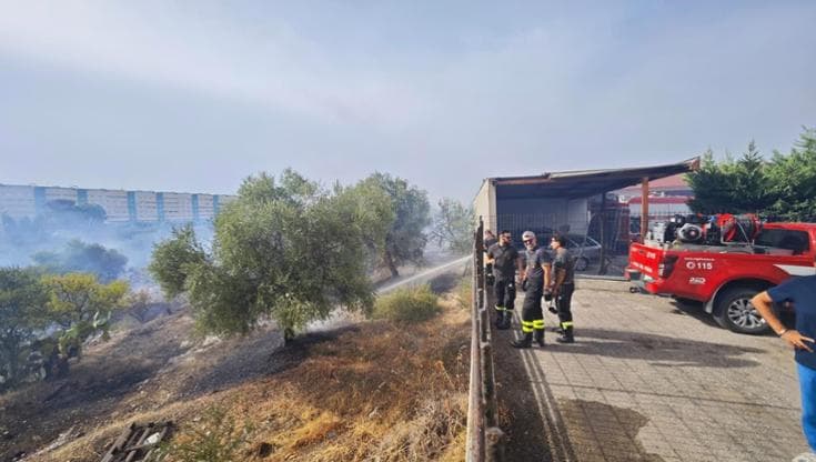 Immagine del post 24235 - Bari Bari, a fuoco la lama tra Santa Rita e Carbonara: le fiamme hanno raggiunto un’autofficina - Bari